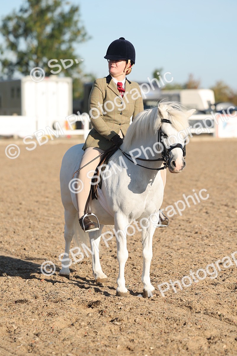 SBM_10915 - Class 301 - Ridden M&M Small Breeds
