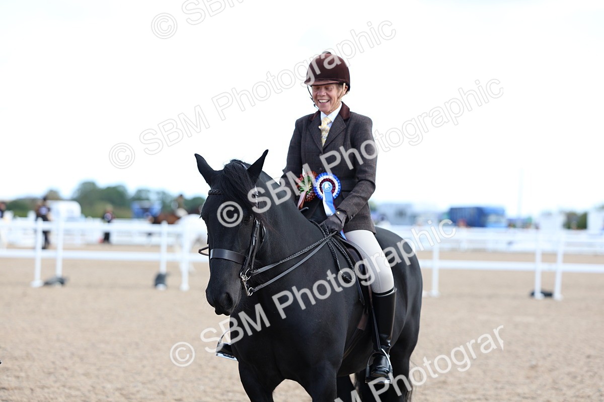 SBM_08967 - Class 302 - Ridden M&M - Large Breeds