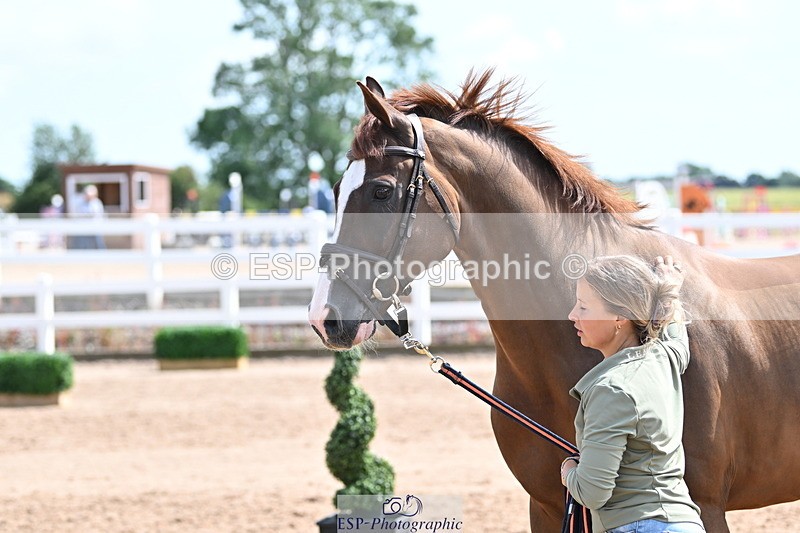 240717A-152719-02840 - Trot Up 3pm to 4pm