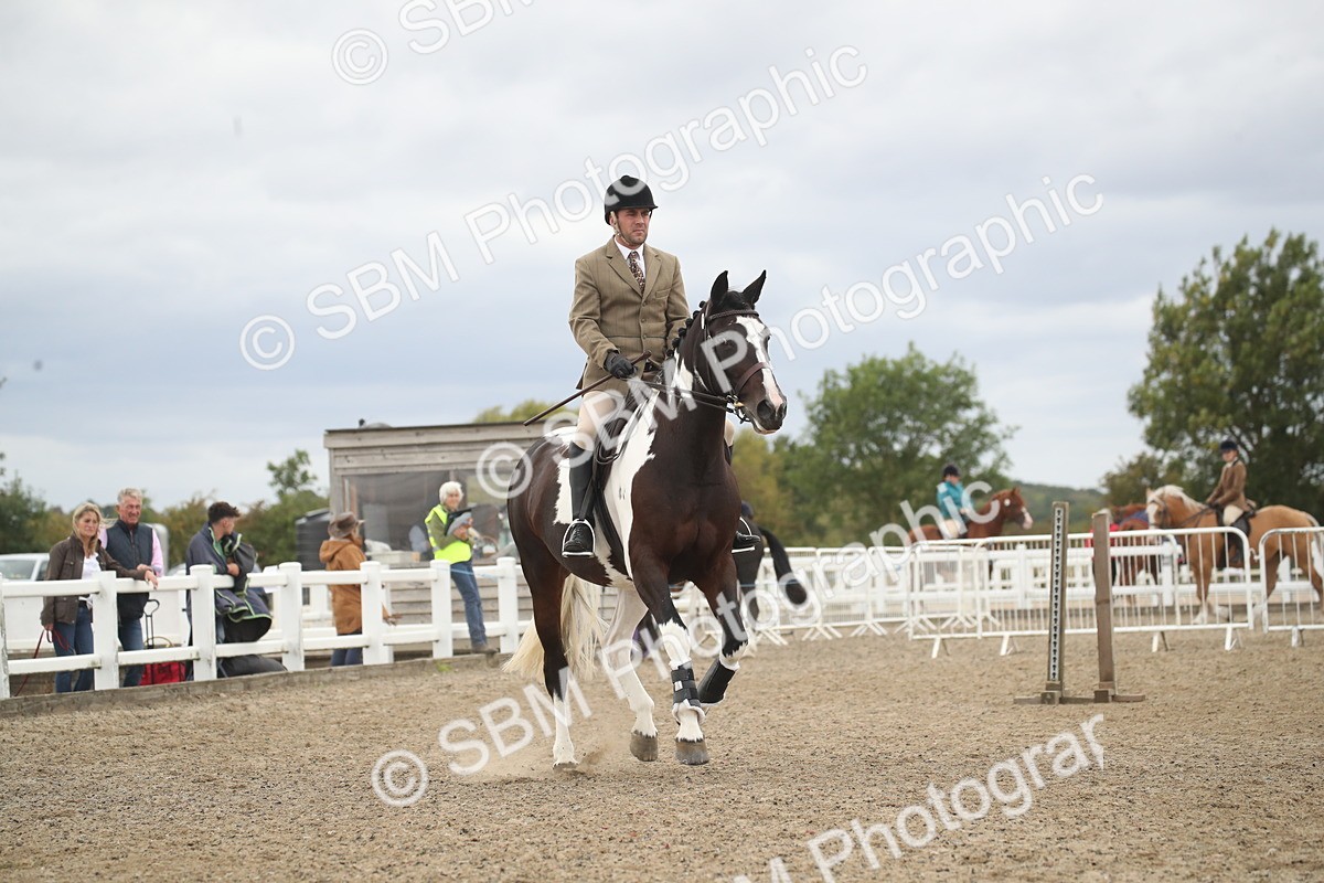 SBM_18284 - Class 509a - Working Veteran - 80cm (15-19)