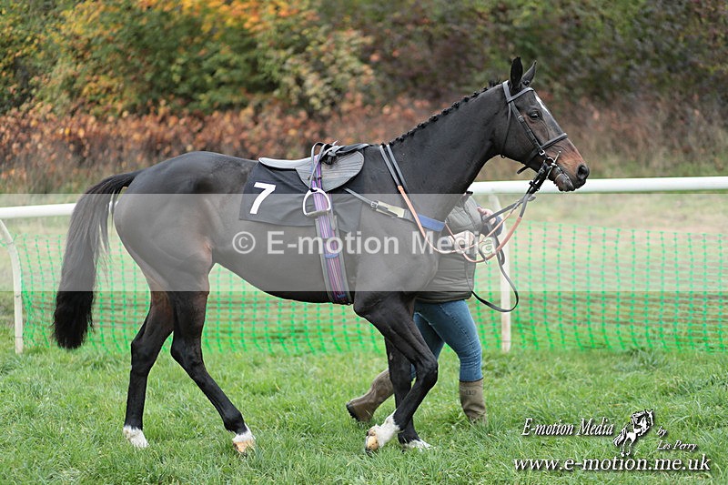 PtP 091124  142 - Knightwick Races Point-to-Point 09/11/24