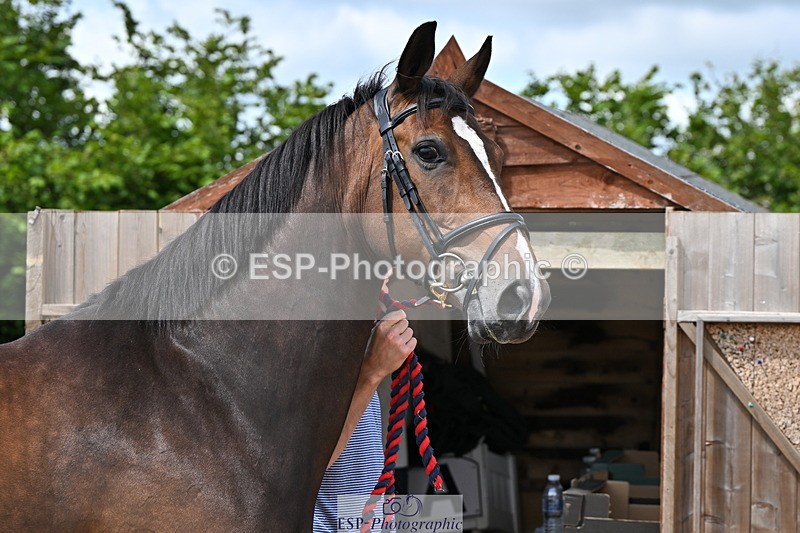 240718A-105245-01125 - Trot Up 12pm to 1pm