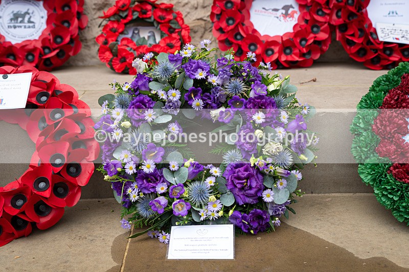 Z62_4720 - Animals In War Memorial 2025 - Park Lane, London