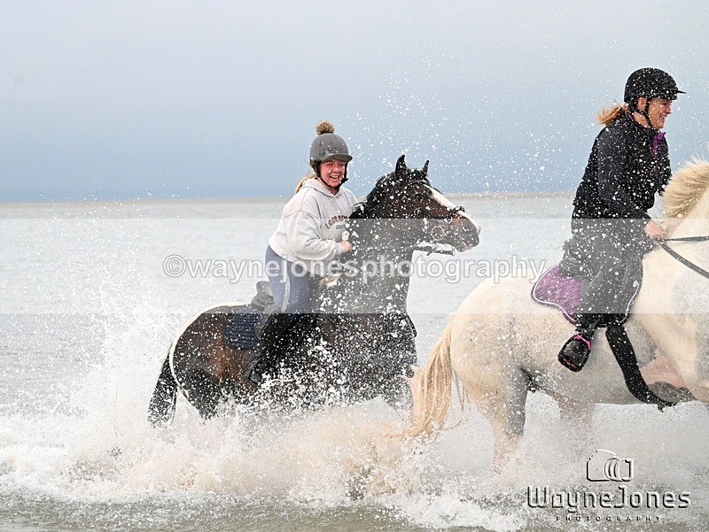 WJ7_9590 - Hayling Island Beach Shoot 22-09-24