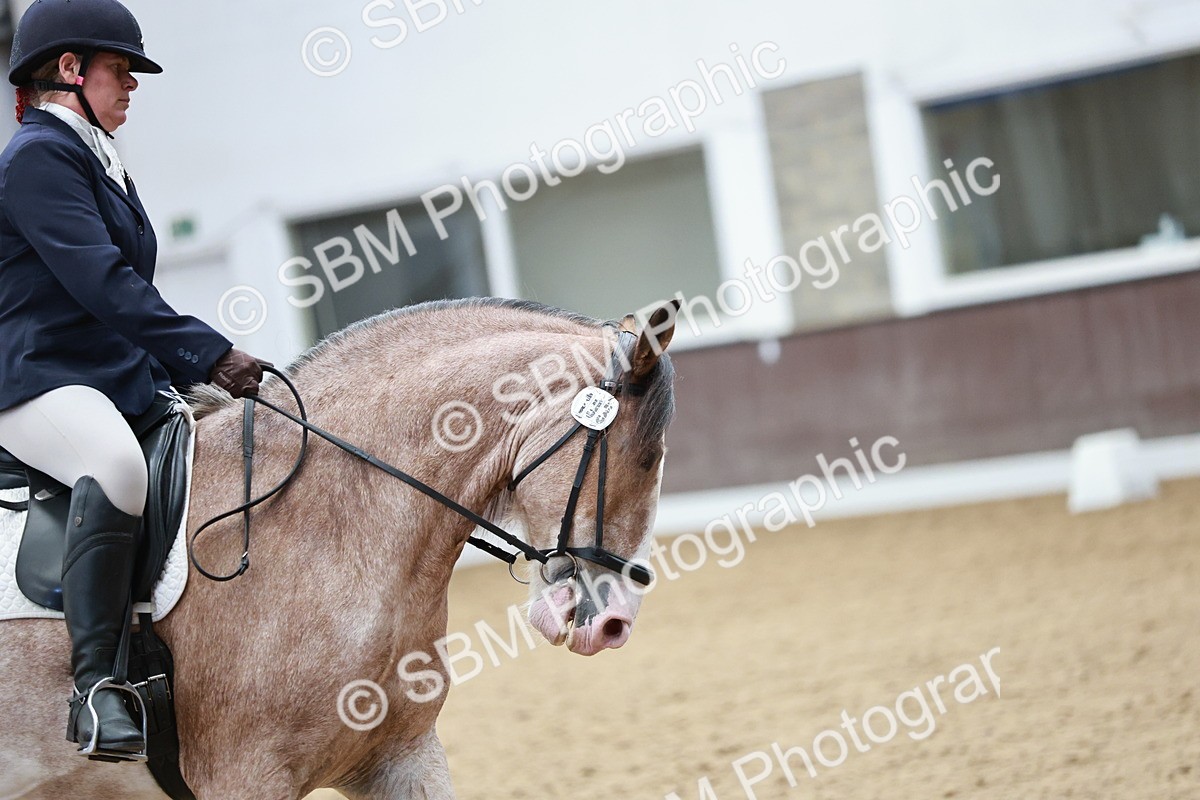 SBM_014219 - Class 7 - Ele FSM Bronze 12.12.13.08