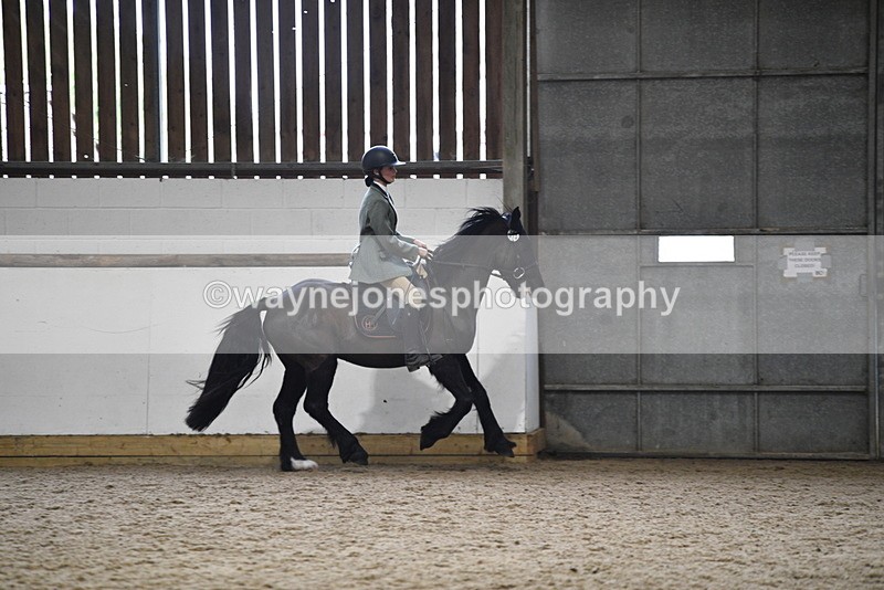 WJ5_7899 - Class 13 Ridden Part Breed