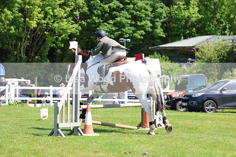 3E7A6886 - Class 30: Novice Working Hunter