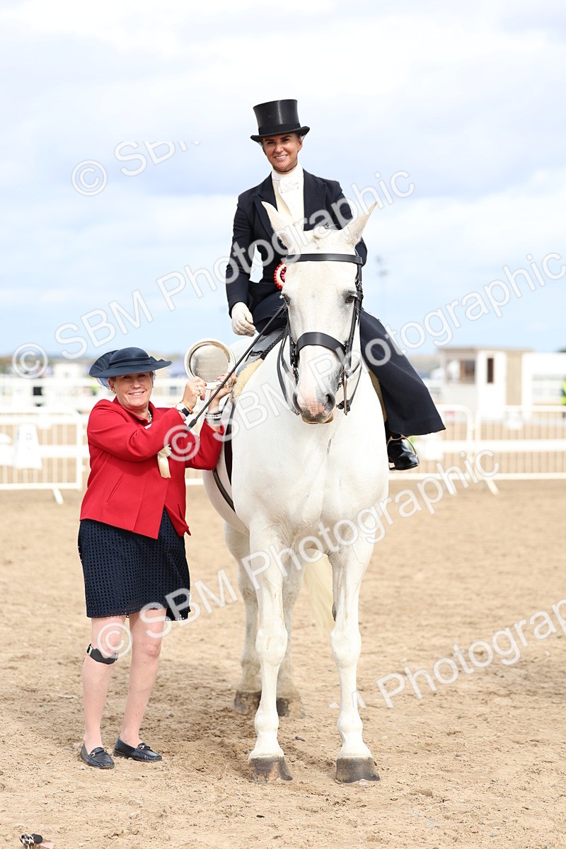 SBM_03472 - Class 24 - SSA Concours d'elegance (any age)