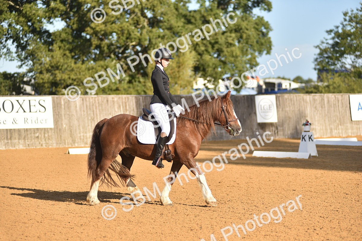 SBM_15701 - D4 - Small Tour Championship Intro 4