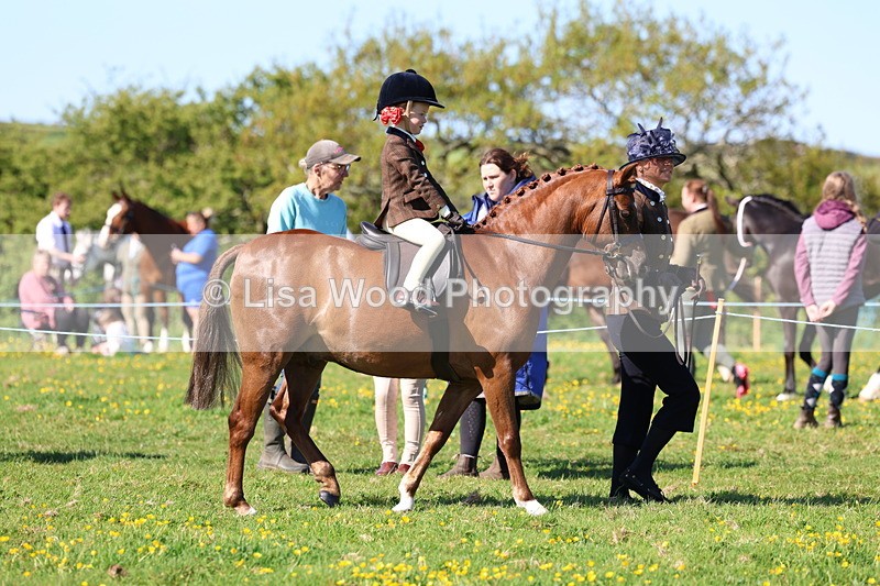 3E7A8910 - Class 2: Lead rein