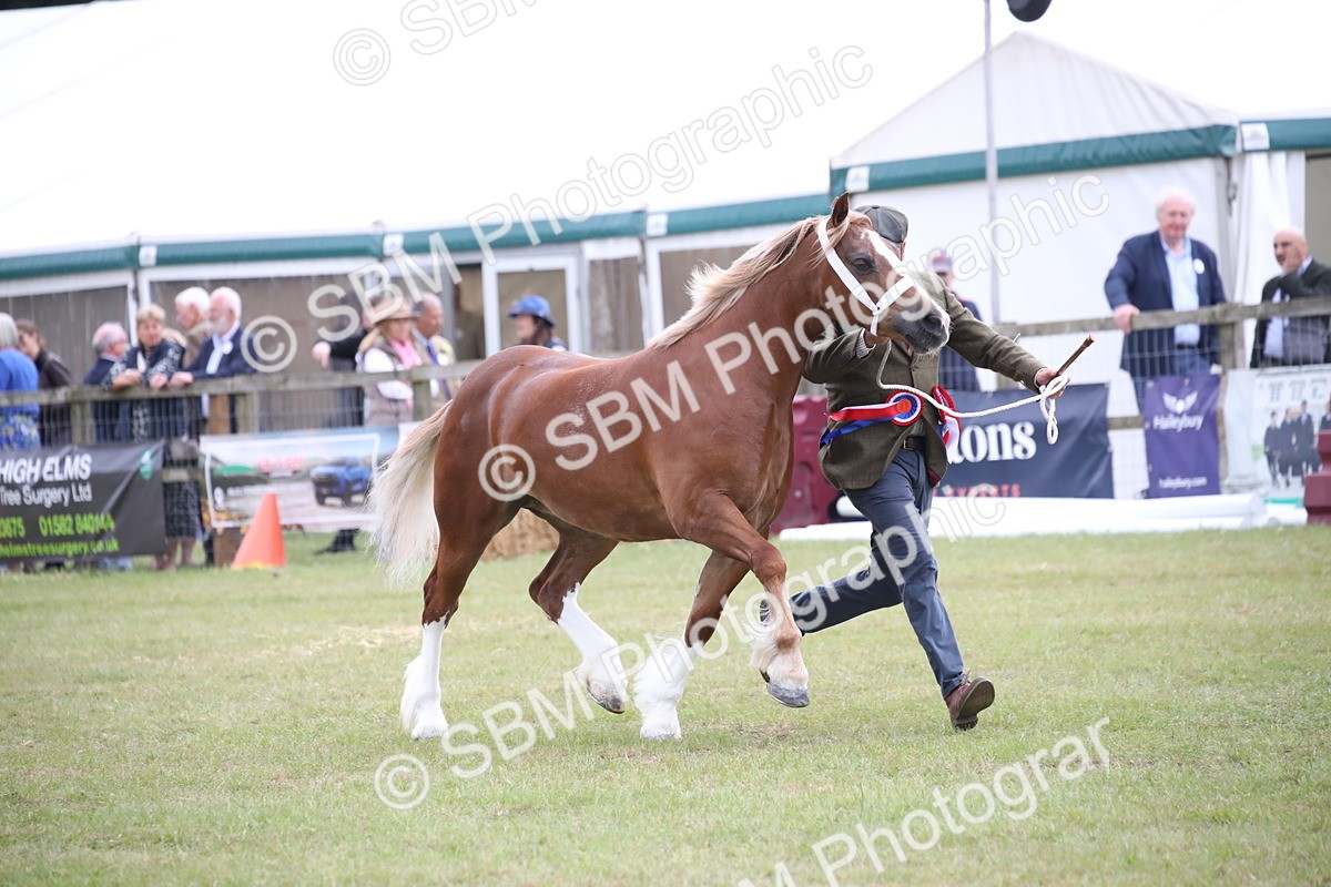 SBM_09828 - Ch 50 - Price Family Supreme In Hand