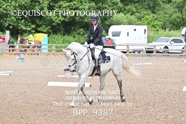 BPP_9387 - 40 A FRIEL