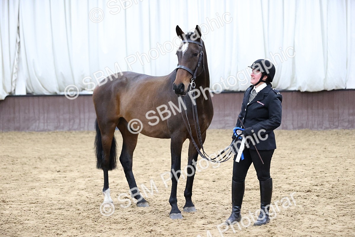 SBM_5789 - Class 3 - BSHA In Hand Show Hunter