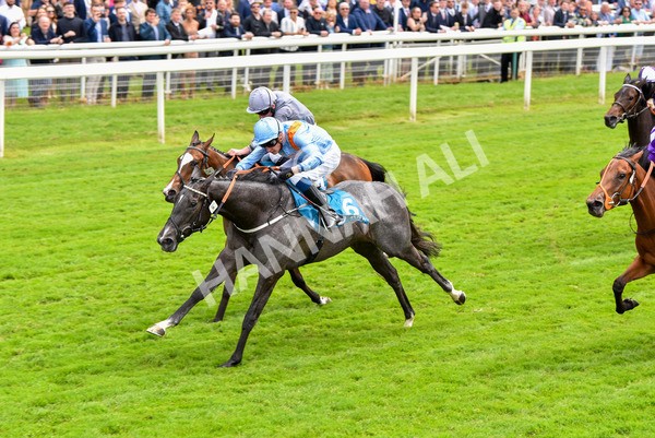 190523-Race 1-Got To Love A Grey-0566 - Race 1 1.50pm Clipper EBF Marygate Fillies' Stakes