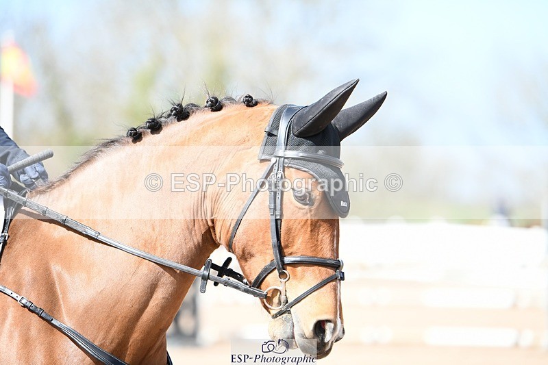 250330-135735-07233 - Cls 36 1.05m National Amateur Quali