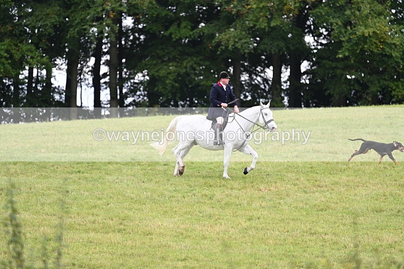 WJ7_4030 - Camera 1 Line 2