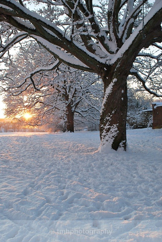 Winter morning. - Snow Scene's /Winter