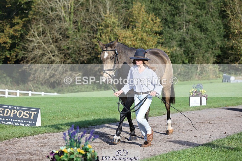 241027-093253-15345 - 319-Neve.Webber-MR.BUZZ