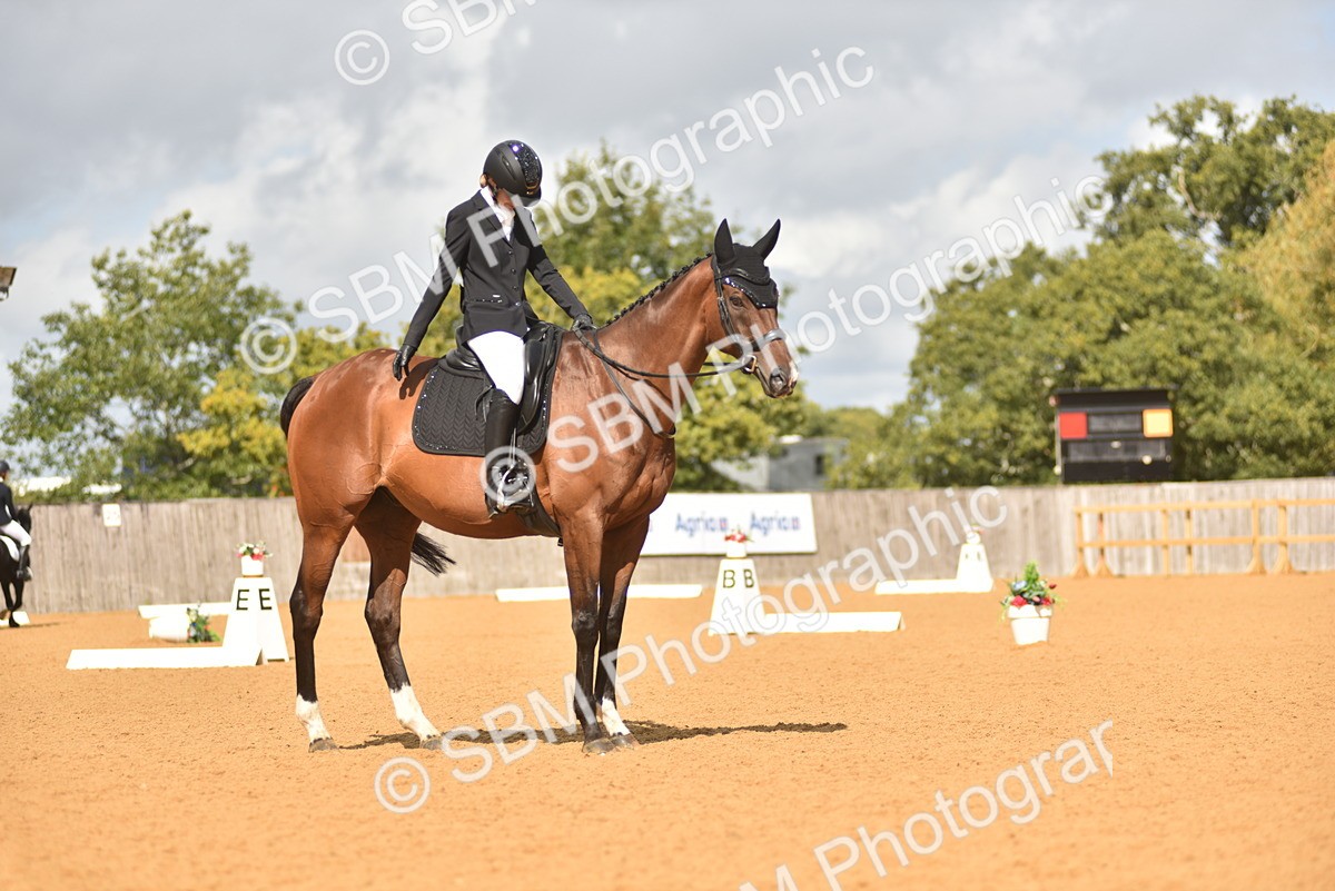 SBM_03172 - D4 - Small Tour Championship Intro 4