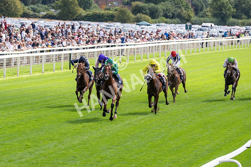 190826-Race 2-Haffner-0193 - Race 2 14.25pm Tattersalls Acomb Stakes