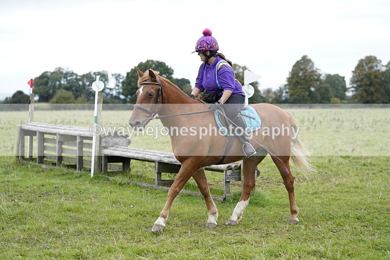 _DSC8645 - Time at Photographer 12:37 to 13:12