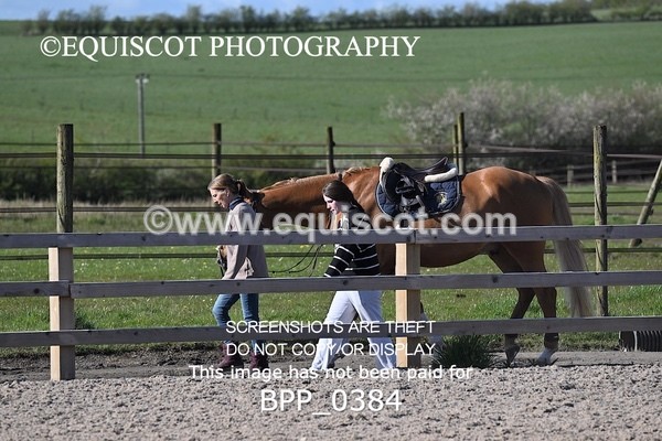 BPP_0384 - CLASS 22 SUN Senior Newcomers/ 1.10m Open