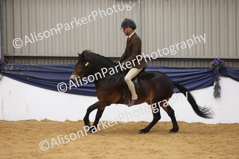 20260913-0628 - Class 126 - Novice Ridden