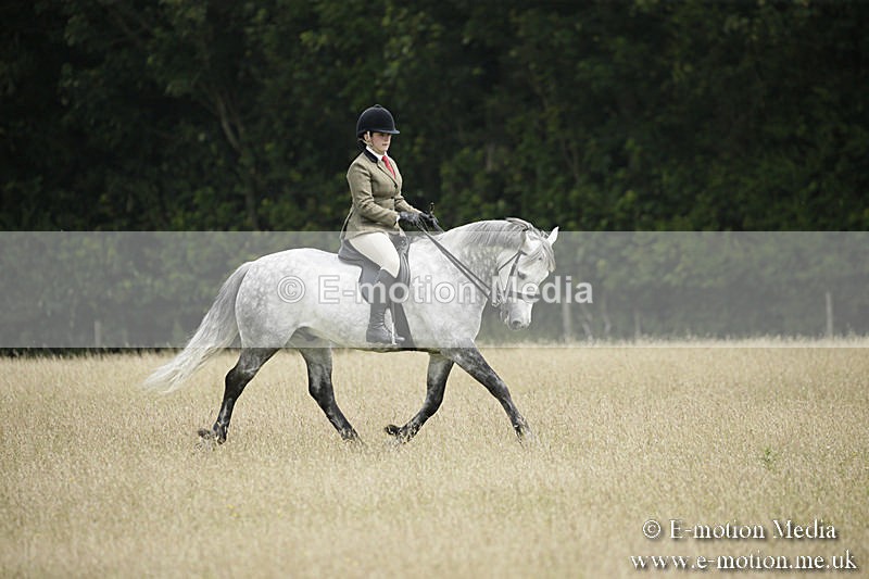 B230619-0473 - Bourne Valley Riding Club Summer Show 23/06/19