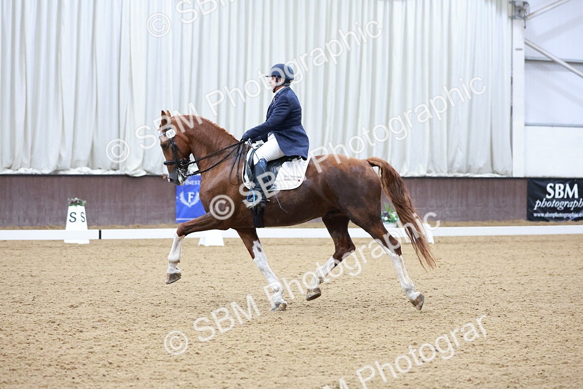 SBM_021240 - Class 14 - FEI Grand Prix - 17.40-18.34