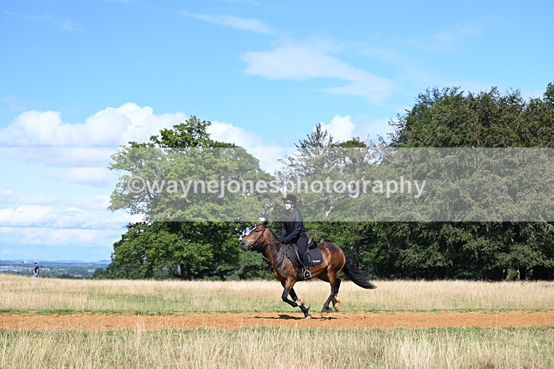 DSC_0187 - Time at Statue 15:58 to 16:05