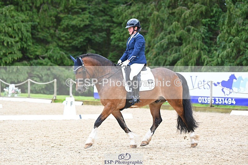 230813-142042-07729 - Cls 13 Medium Bronze 13.15 to End