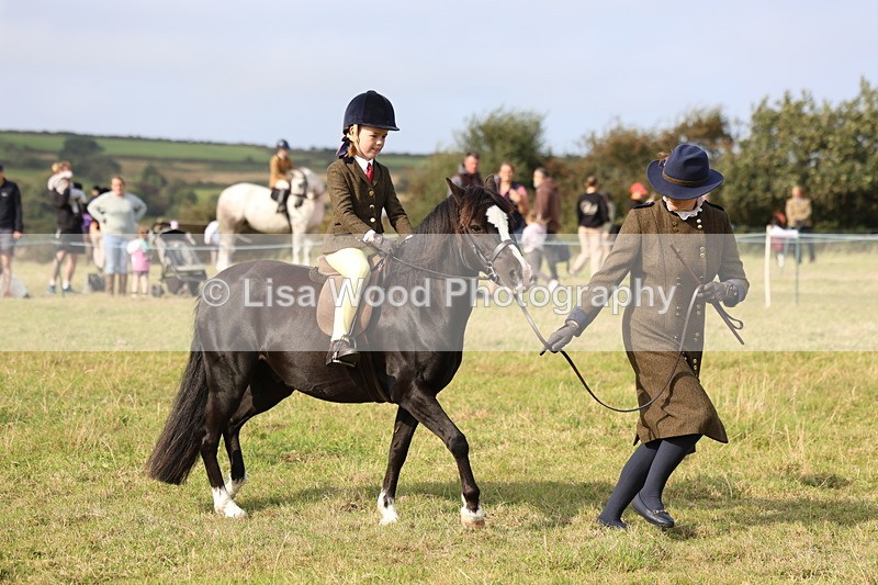 3E7A3718 - Class 2: Lead rein