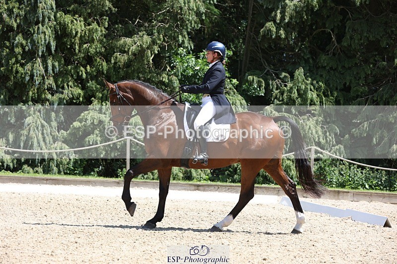 230526-134355-06377 - 368-COIRBAN_SARCO_DELUX-Rebecca_Gibbs-WEDTrotUp+DR