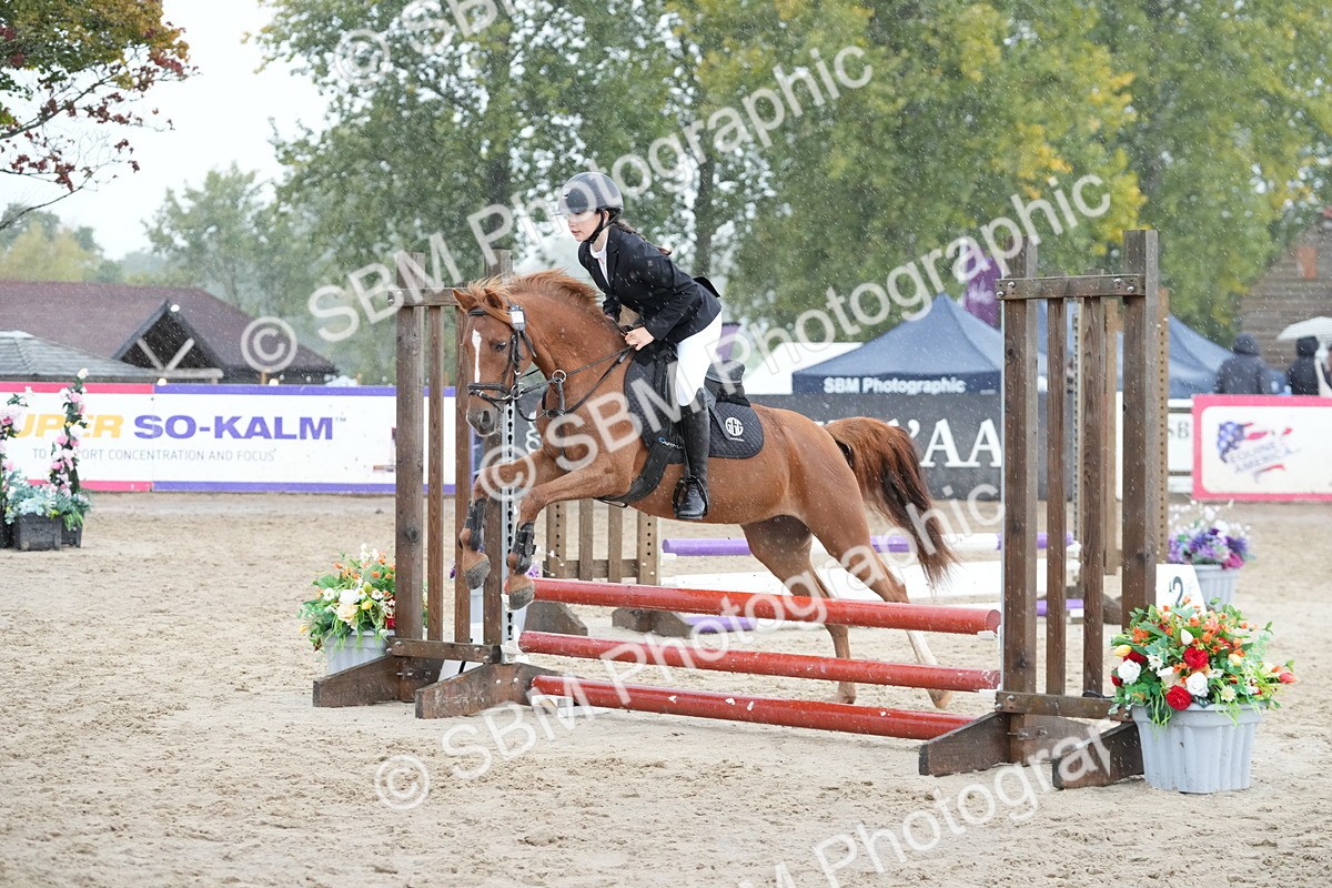 SBM_33490 - J5 - Junior Pony 50cm Championship