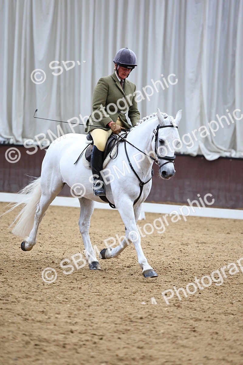 SBM_005461 - Elementary 2