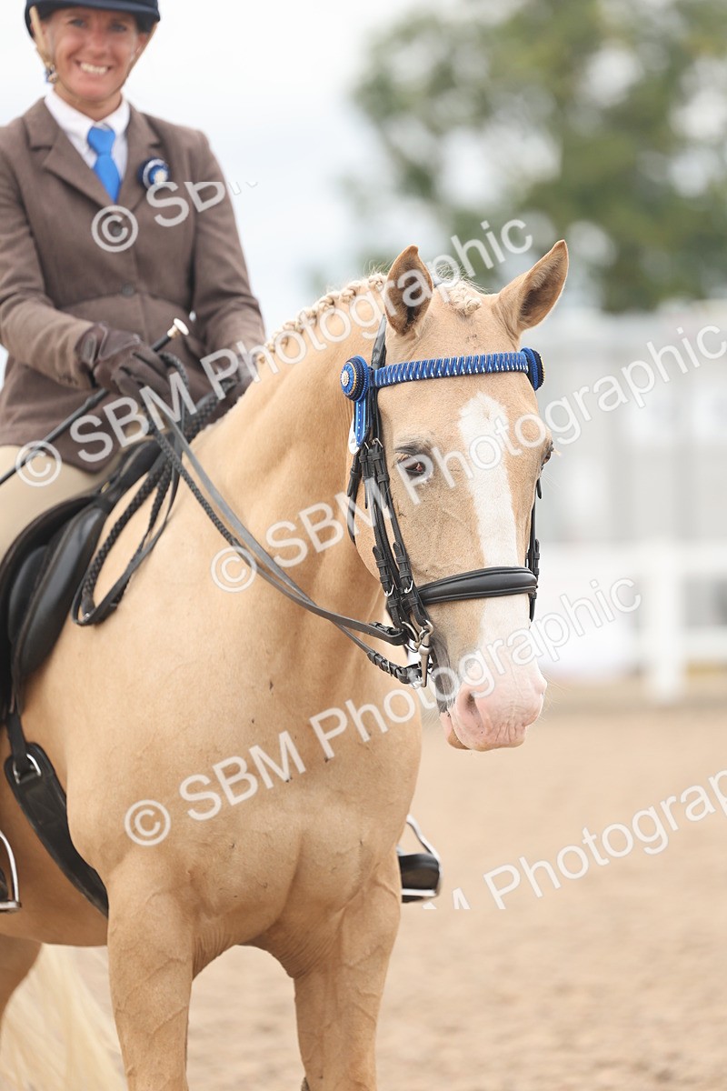 SBM_18168 - Class 315 - Best Horse-Rider Combination