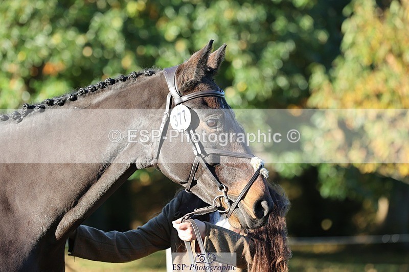 241027-084124-14745 - 377-Bethany.Hull-CARRICK.DIAMOND.OLIVER