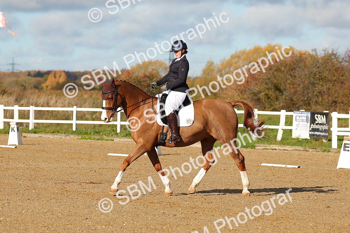 SBM_000559 - Novice 4