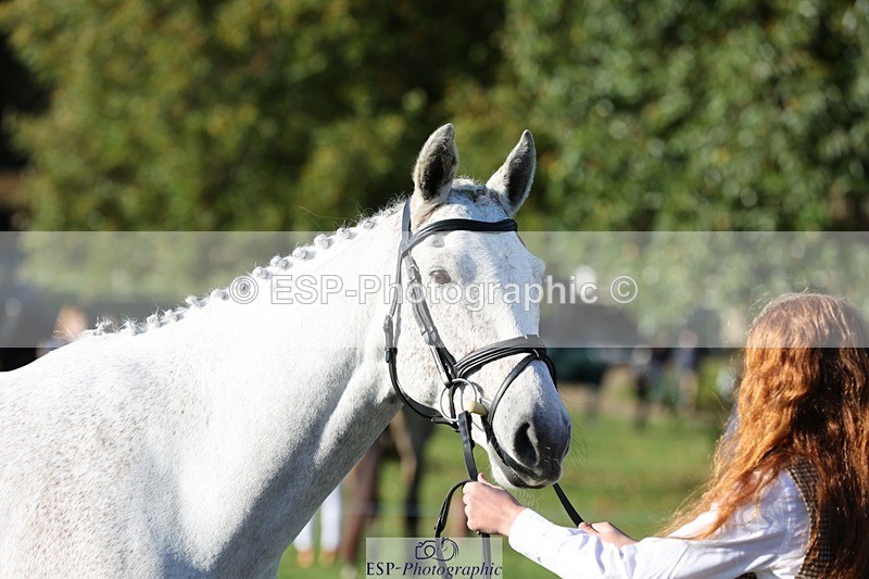 241027-091733-15189 - 326-Eloise.Hawtin-TULLIBARDS.CLONEENAGH.TED