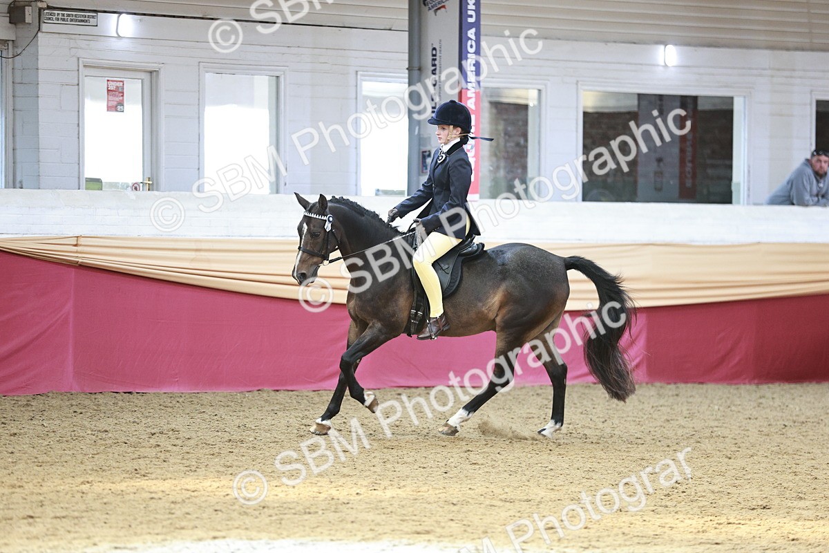 SBM_08293 - Class 11R - Regional Ridden Veteran