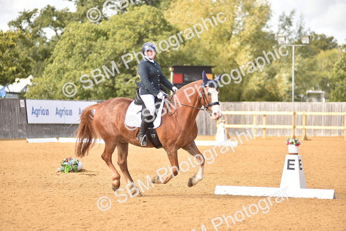 SBM_24383 - D4 - Small Tour Championship Intro 4