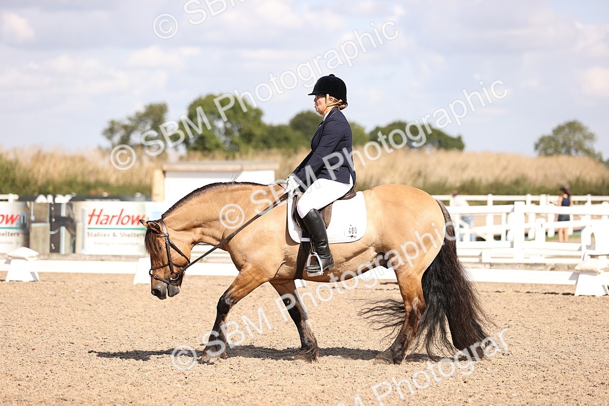 SBM_03602 - CLass 35 Intro 3