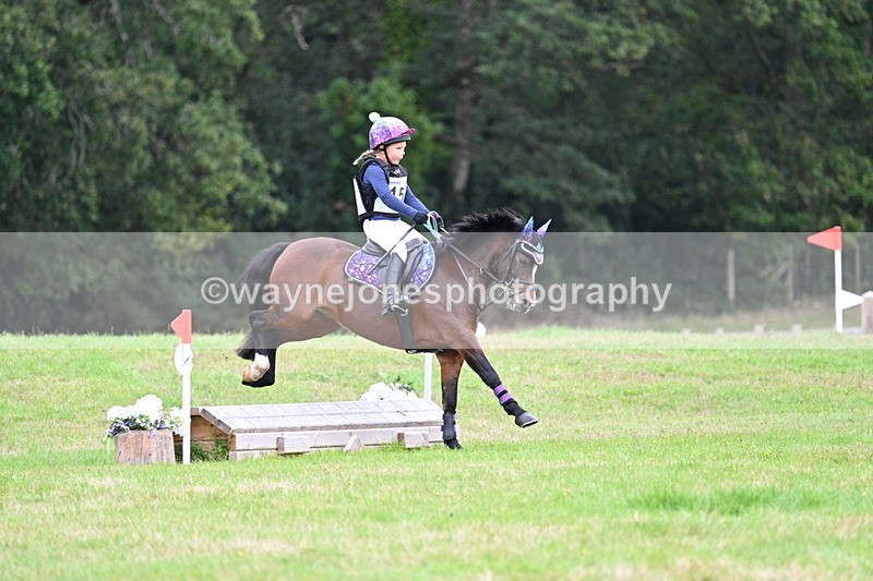 WJ7_7381 - 40cm Time 10:06 to 10:24