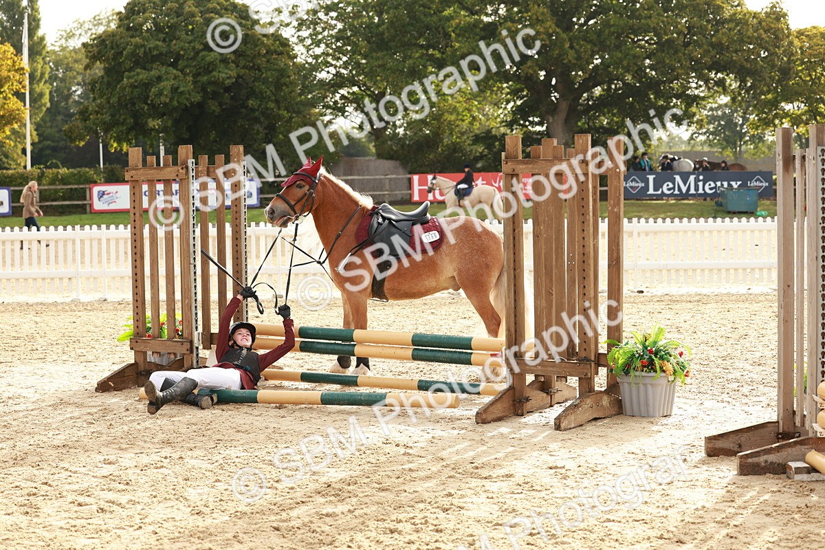 SBM_55700 - J11 - Junior Pony 50cm Championship