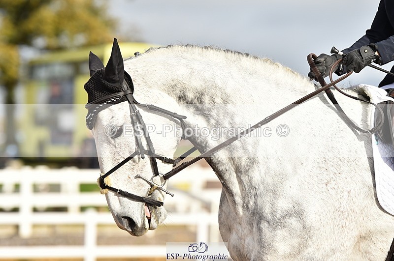 231104A-113416-01570 - Cls 5 Novice 37A