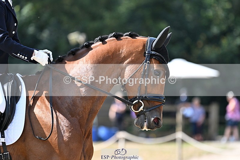 250810A-110853-05733 - 071-Abbie.NewburySeagry.Viceroy