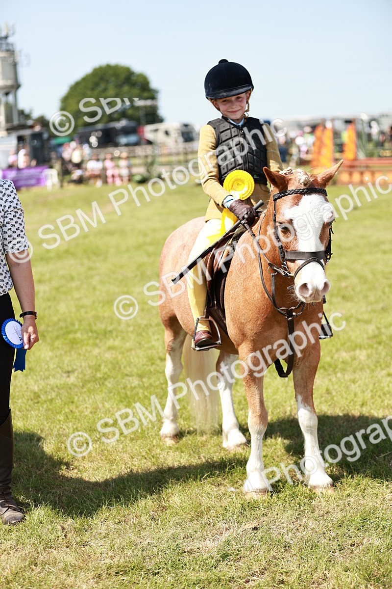 SBM_13650 - Class 108-109 - BSPS LIHS Open Gradle & Nursery Stakes