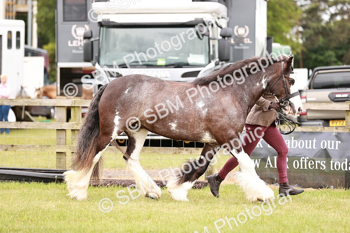 SBM_04663 - Class 5-8 - BSPA In hand
