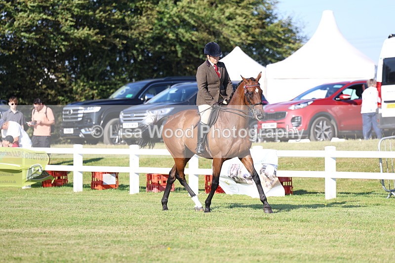 3E7A5104 - Class 1: Rising Star Small Hack/Riding Horses