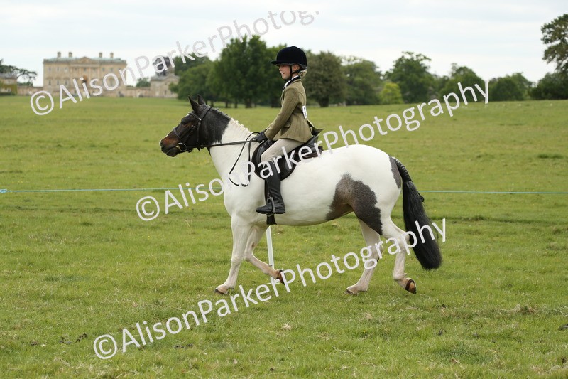 20250517-1441 - Class 22 - Open Working Hunter